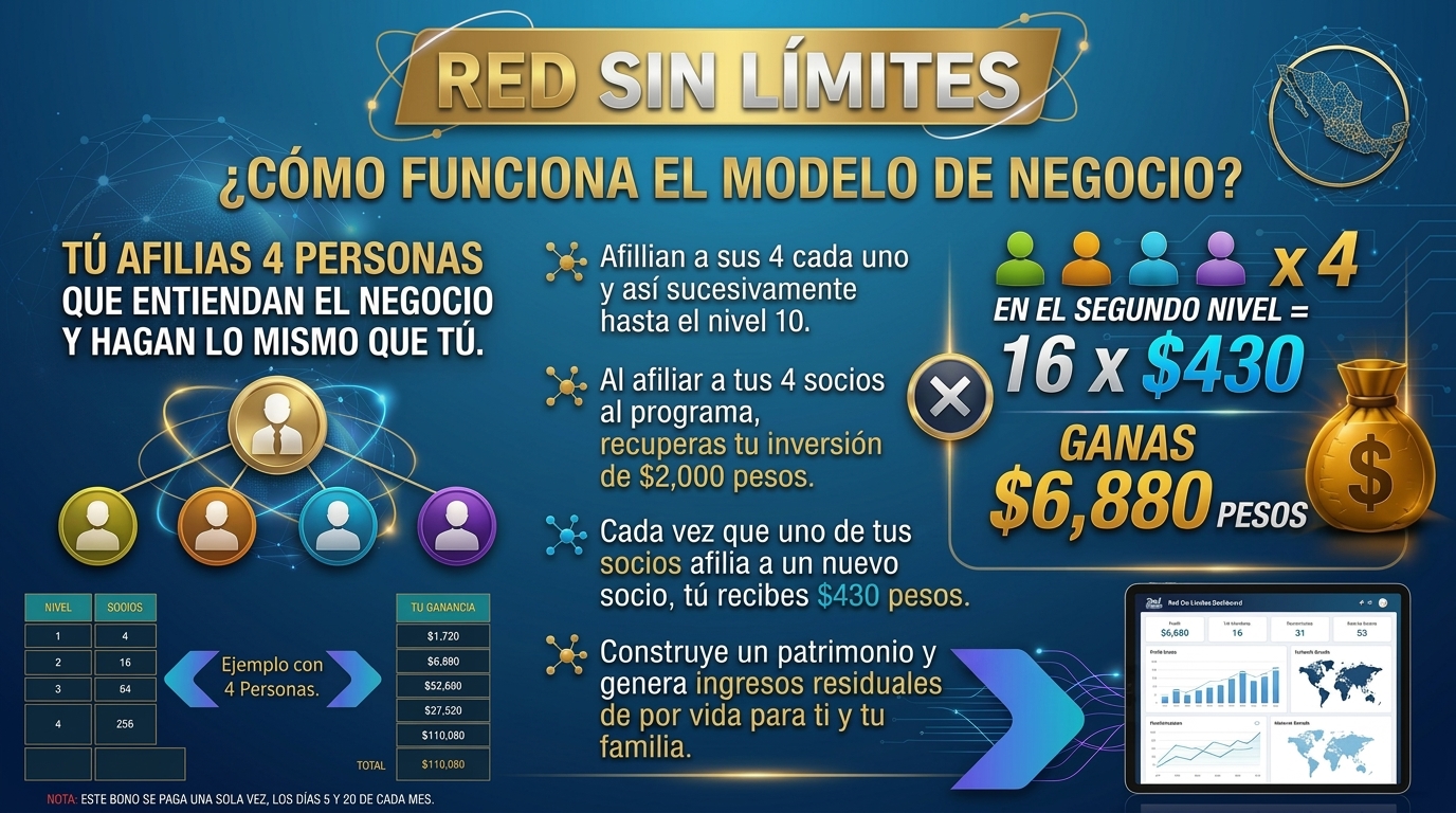 Infografía: cómo funciona el modelo de negocio, con el ejemplo de los 4 socios