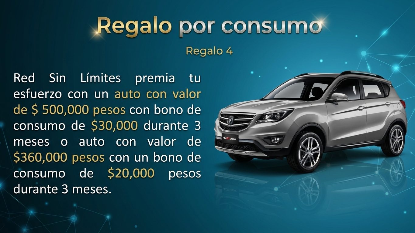 Presentación del negocio 10 de 12