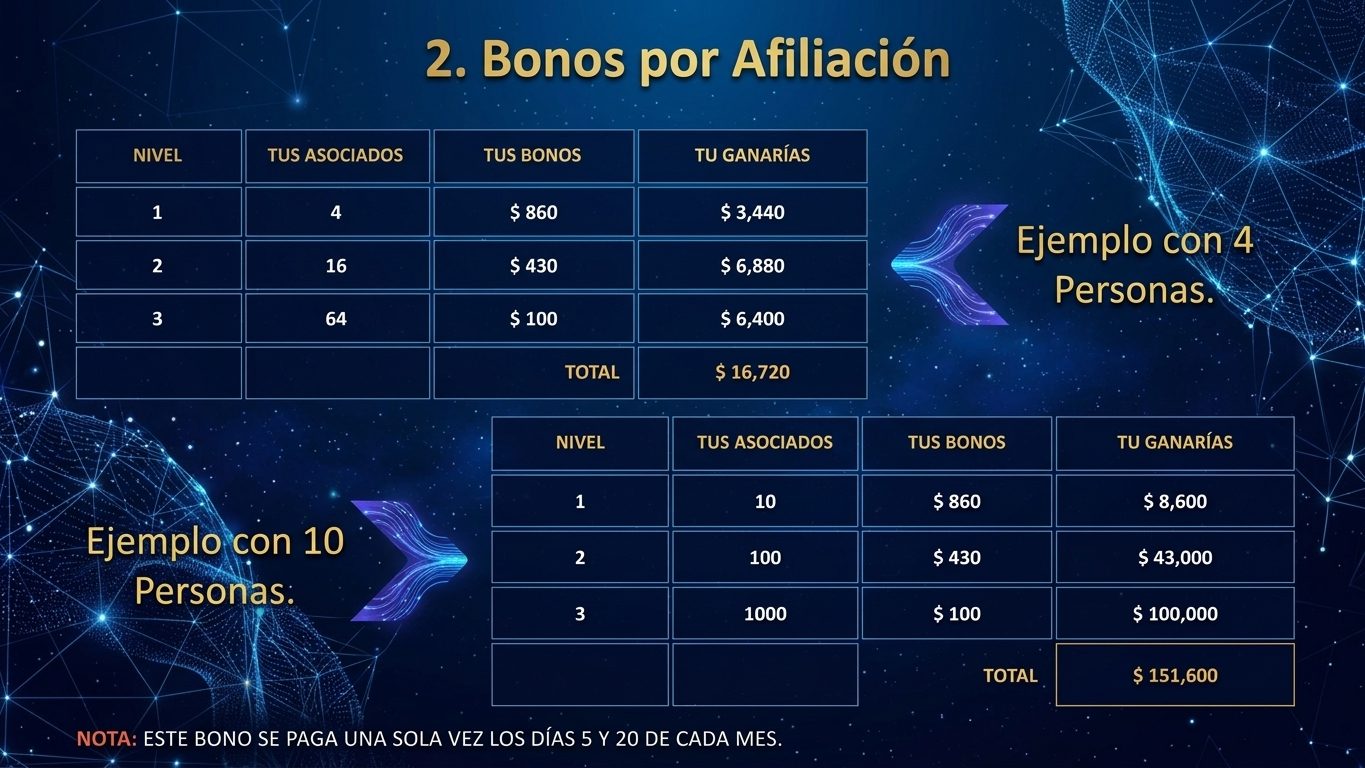 Presentación del negocio 8 de 12